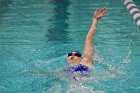 Swimming & Diving vs Babson  Swimming & Diving vs Babson College. - Photo by Keith Nordstrom : Wheaton, Swimming